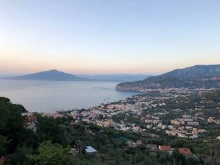 Vista