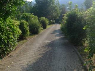 Zona