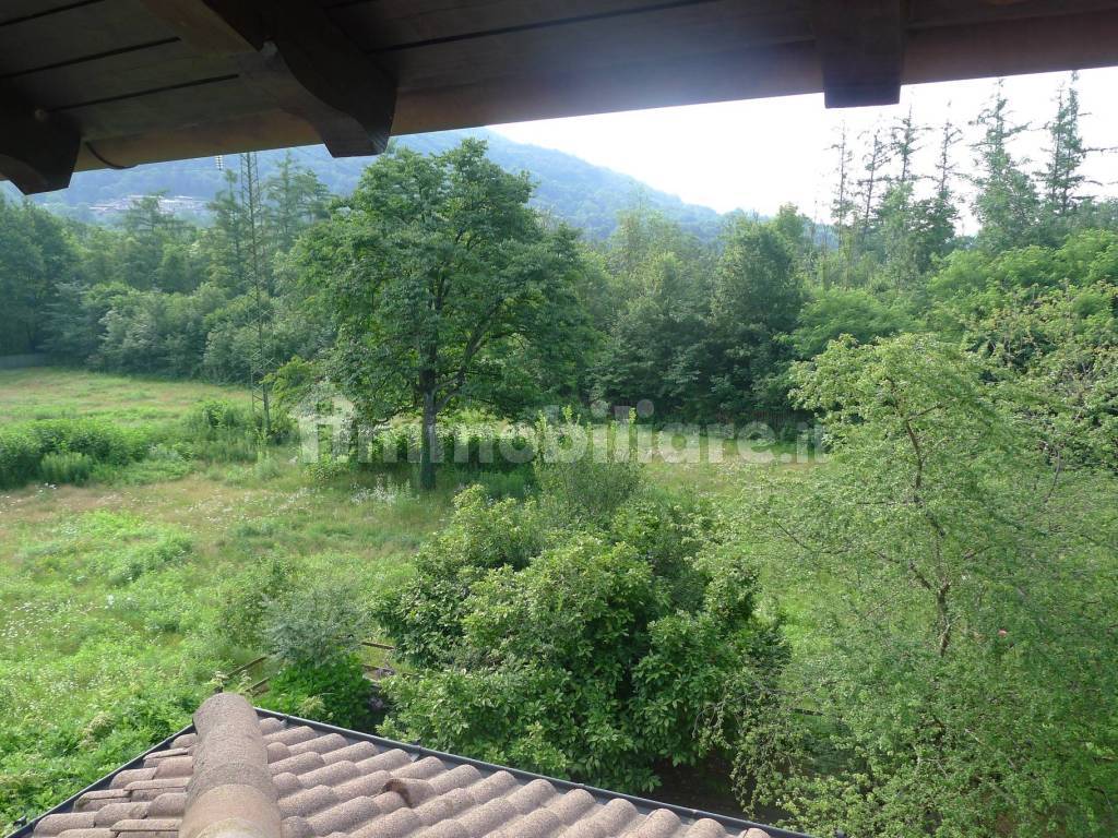 Vista
