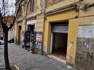 Zona
