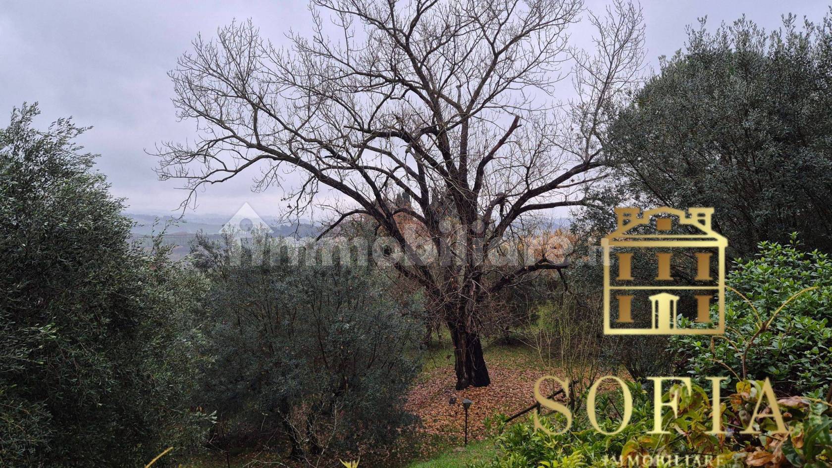 Villa in vendita a Collesalvetti