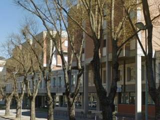 Zona