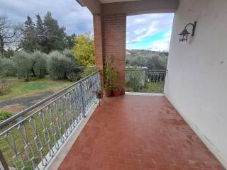 Terrazzo