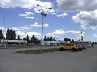 Zona