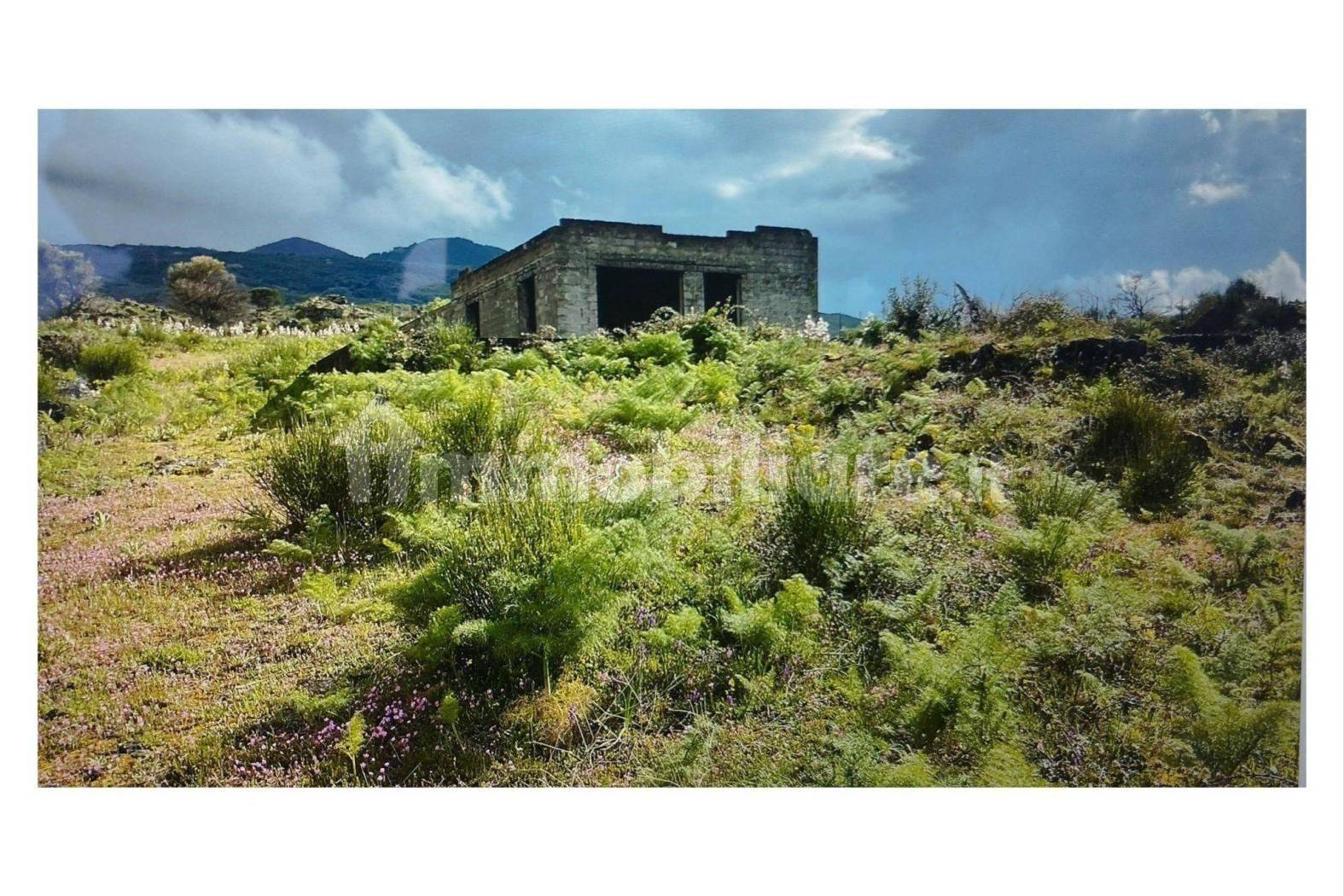 Rustico - Casale in vendita a Randazzo