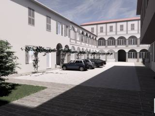 Zona