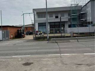 Zona