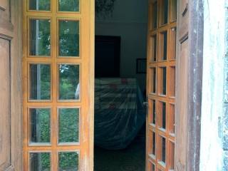 Ingresso