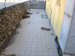 Cortile interno