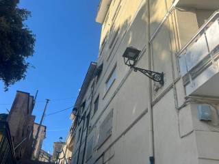 Zona