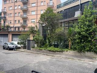 Zona