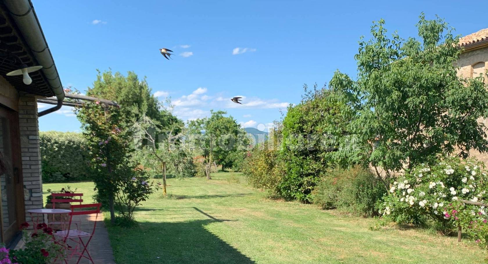 Appartamento in affitto a Orvieto