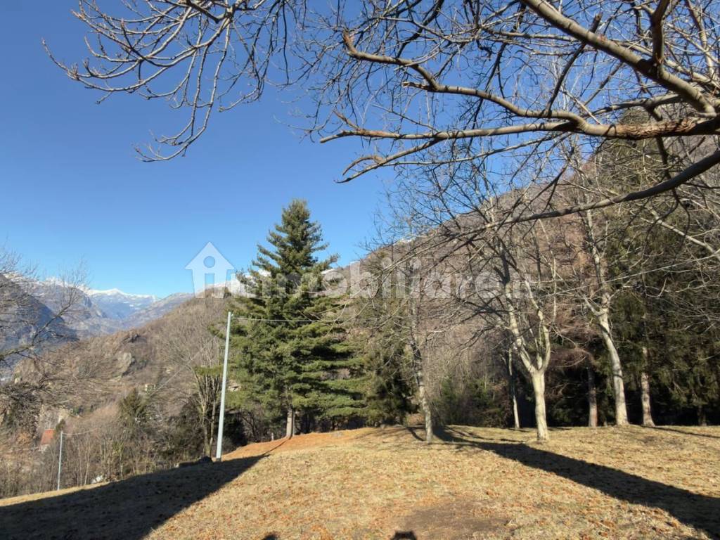 Terreno