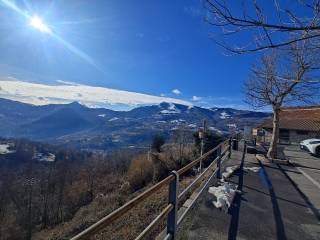 Vista