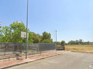 Zona