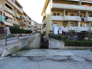 Zona