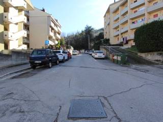 Zona