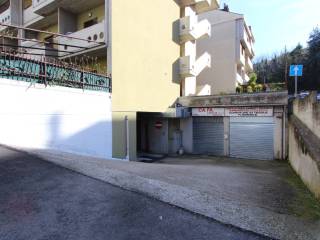 Zona