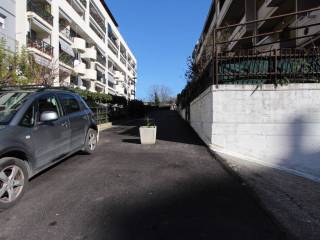 Zona