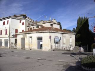 Zona