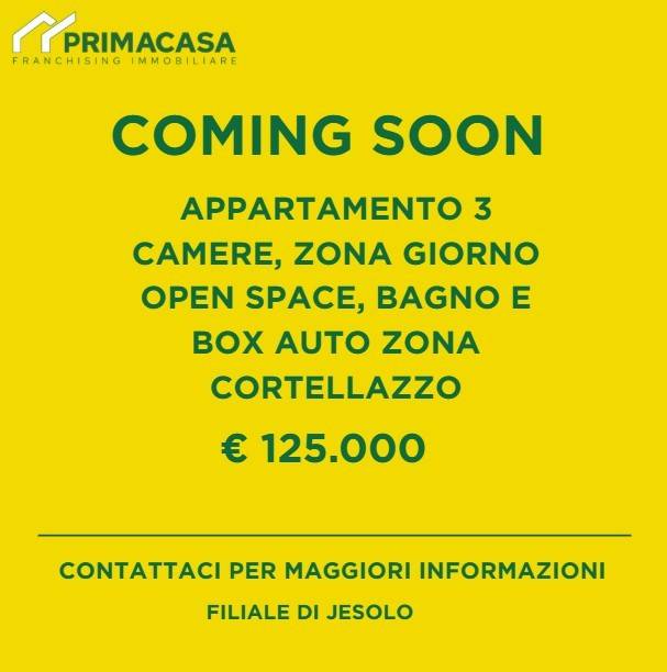 Appartamento in vendita a Jesolo