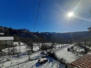 Vista