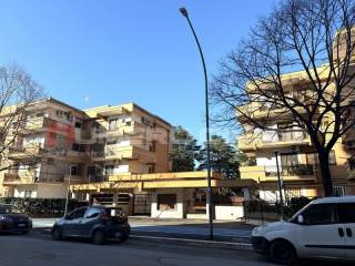 Zona