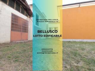 Dettagli