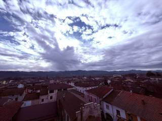 Vista