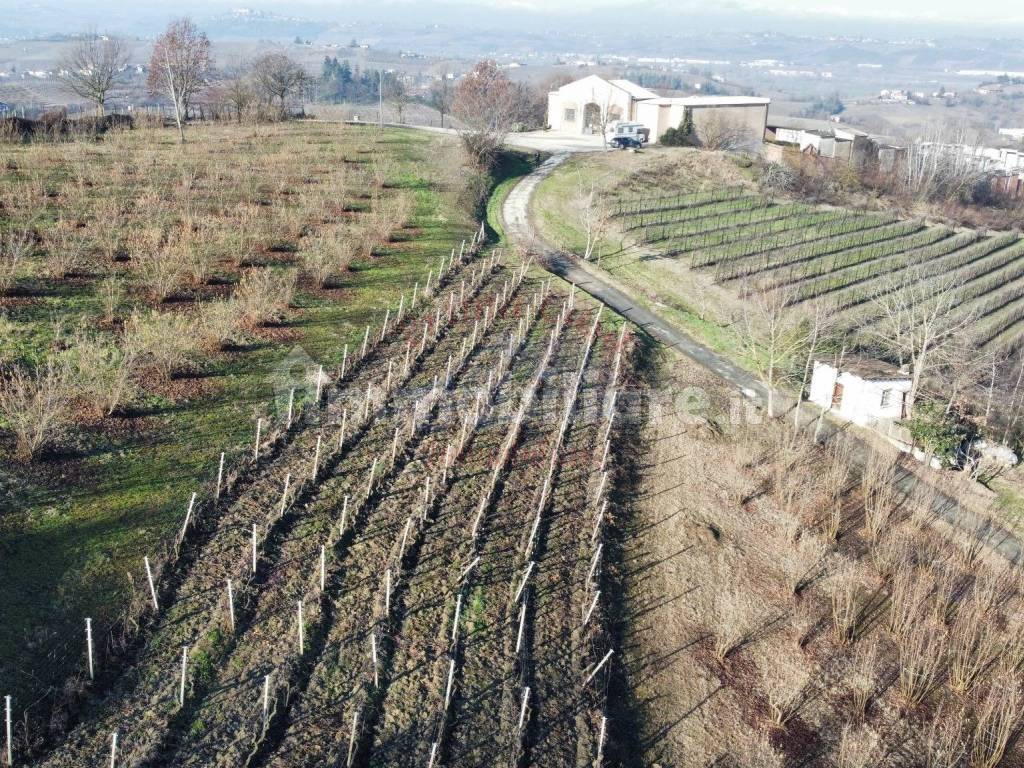 Terreno