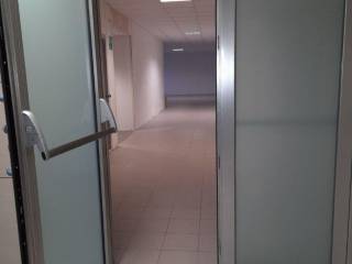 Ingresso