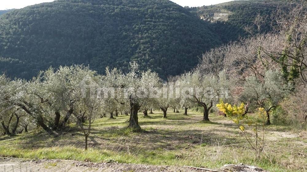 Terreno