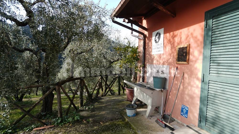 Giardino