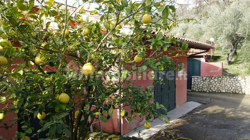 Giardino