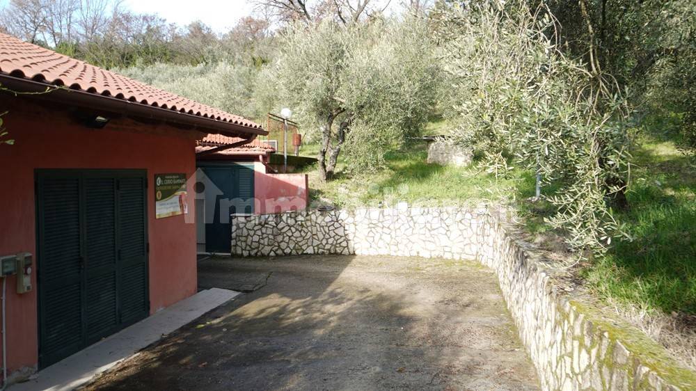 Giardino