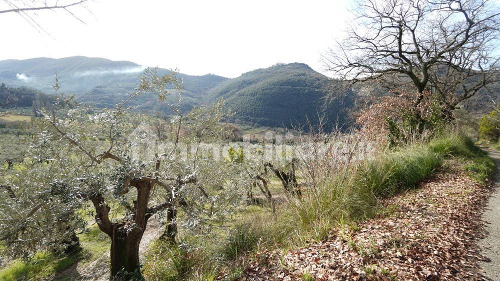 Terreno