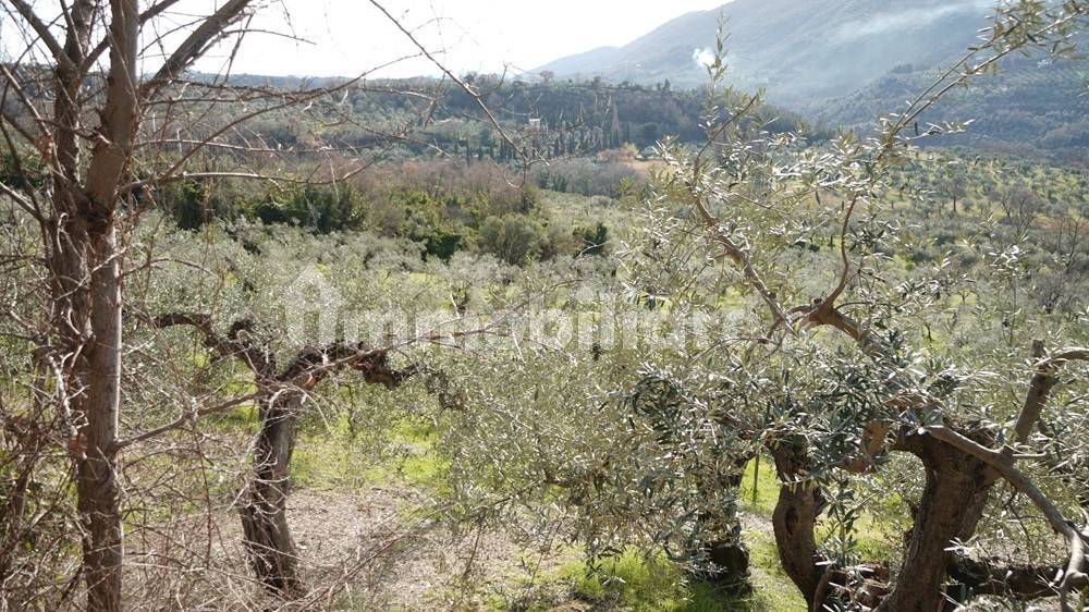 Terreno