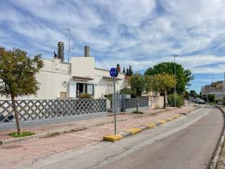Zona