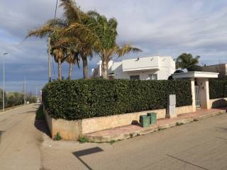 Zona