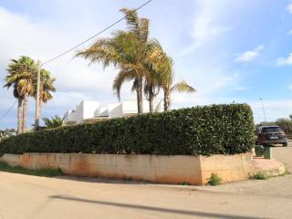 Zona
