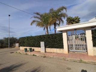 Zona