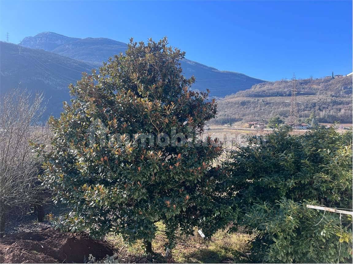 Appartamento in vendita a Ala