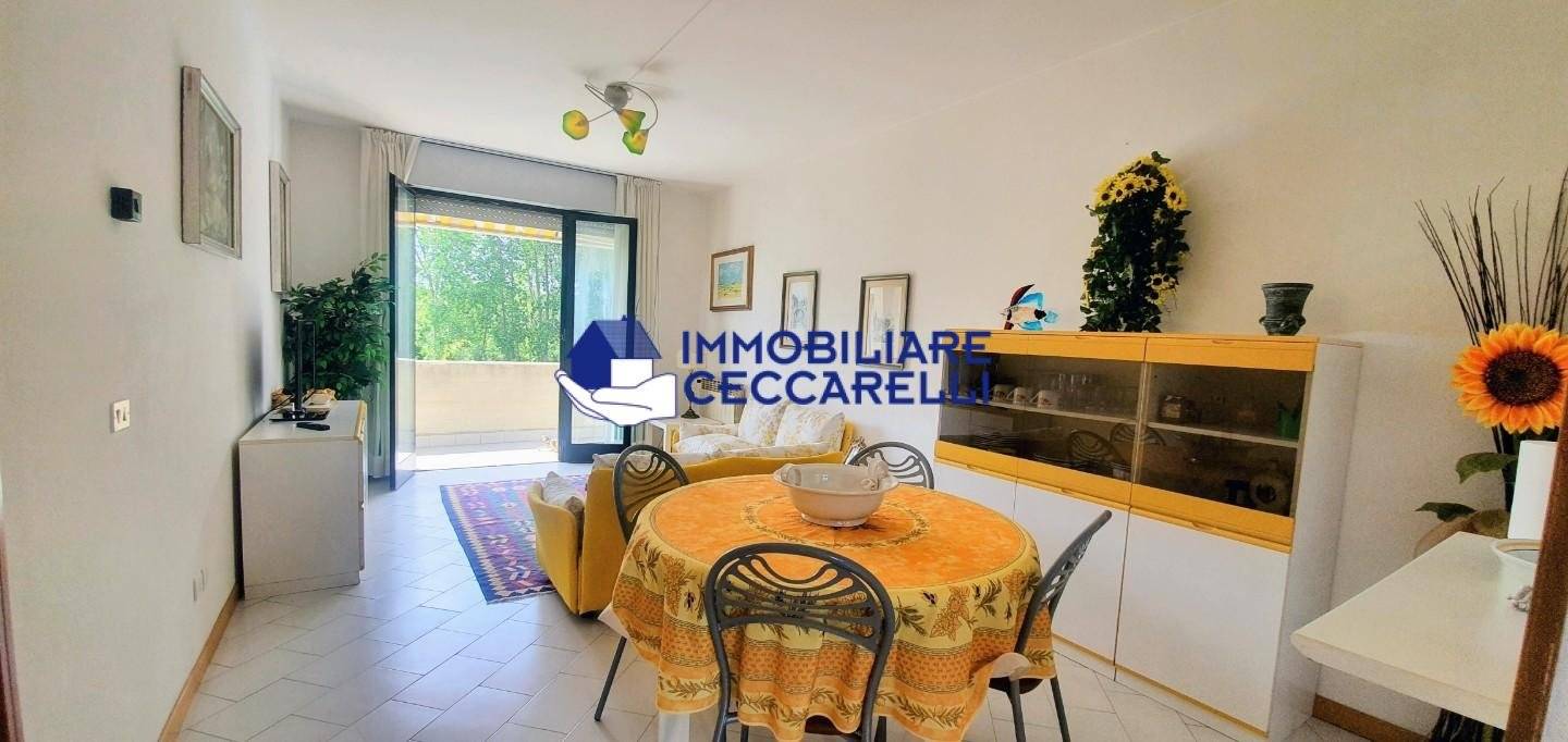 Appartamento in affitto a Massa