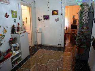 Ingresso
