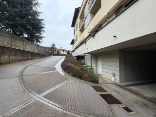 Zona