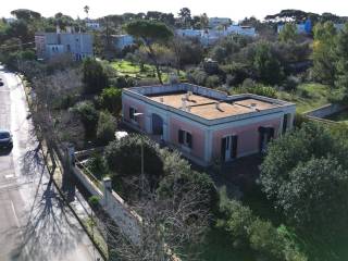 Vista