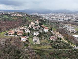 Vista