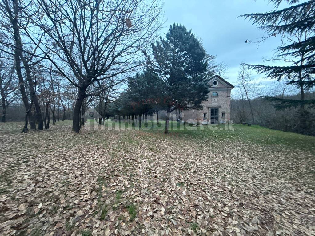 Terreno