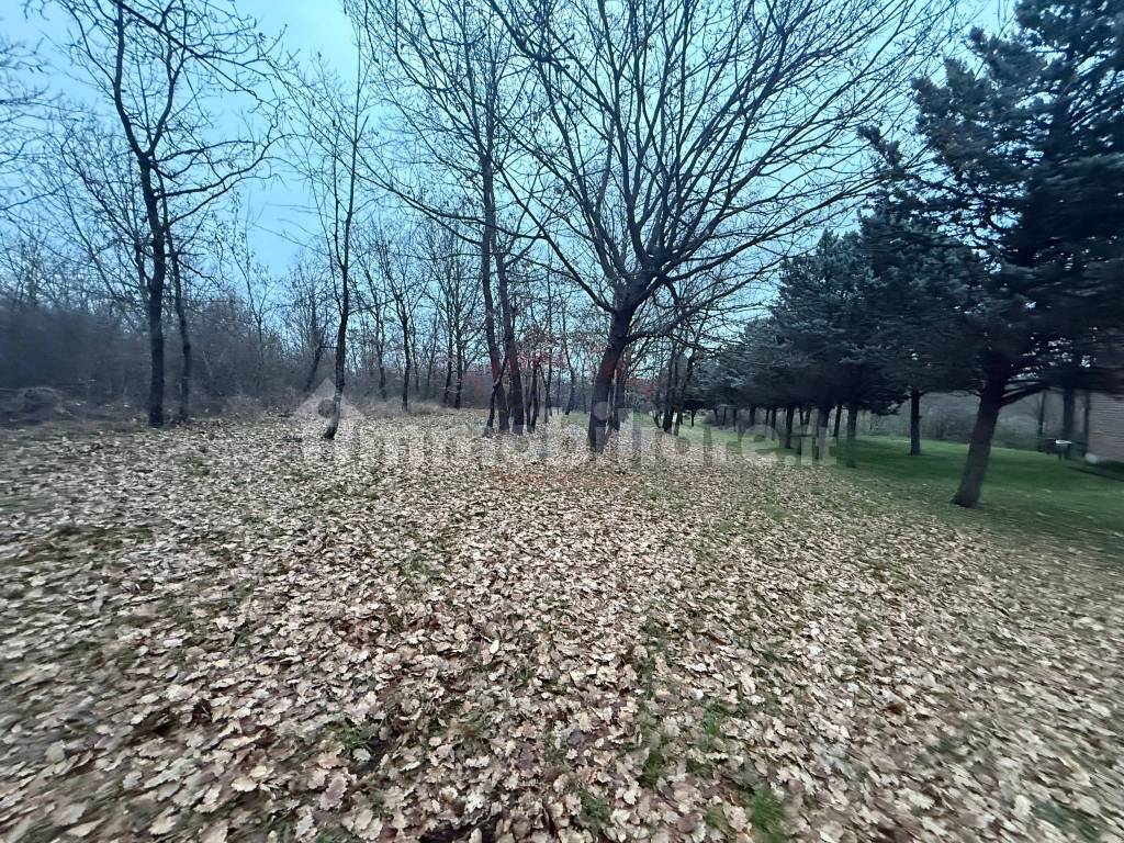 Terreno