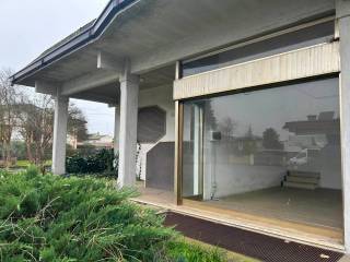 Vista